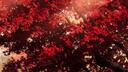 Discovery splash banner for Twilight | DMs ∘ Egirls ∘ VCs ∘ Non Dating ∘ Emotes Discord server