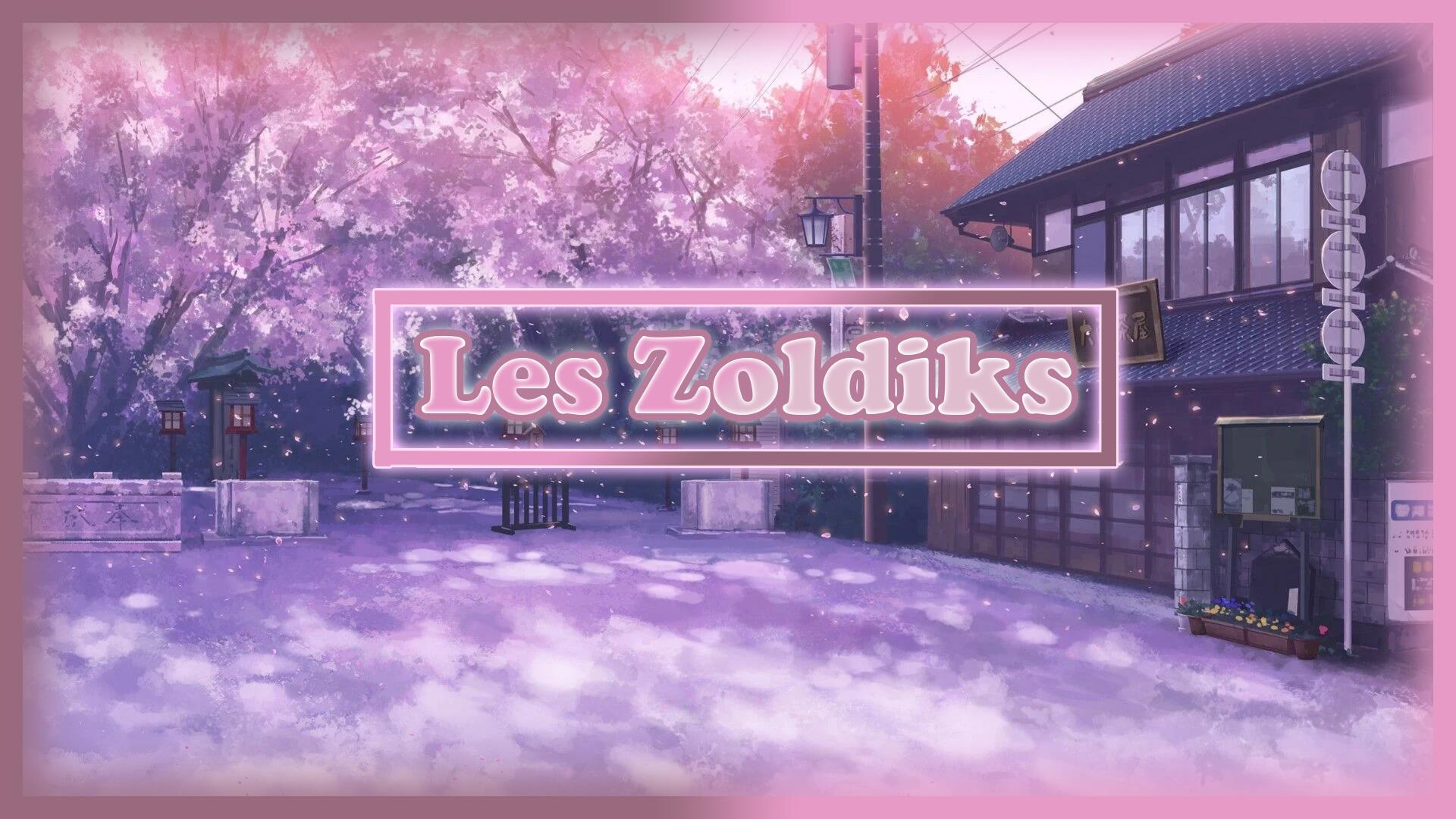 Discovery splash banner for Les Zoldiks Discord server