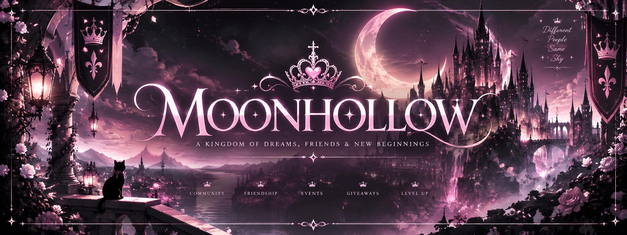 Discovery splash banner for Moonhollow Discord server