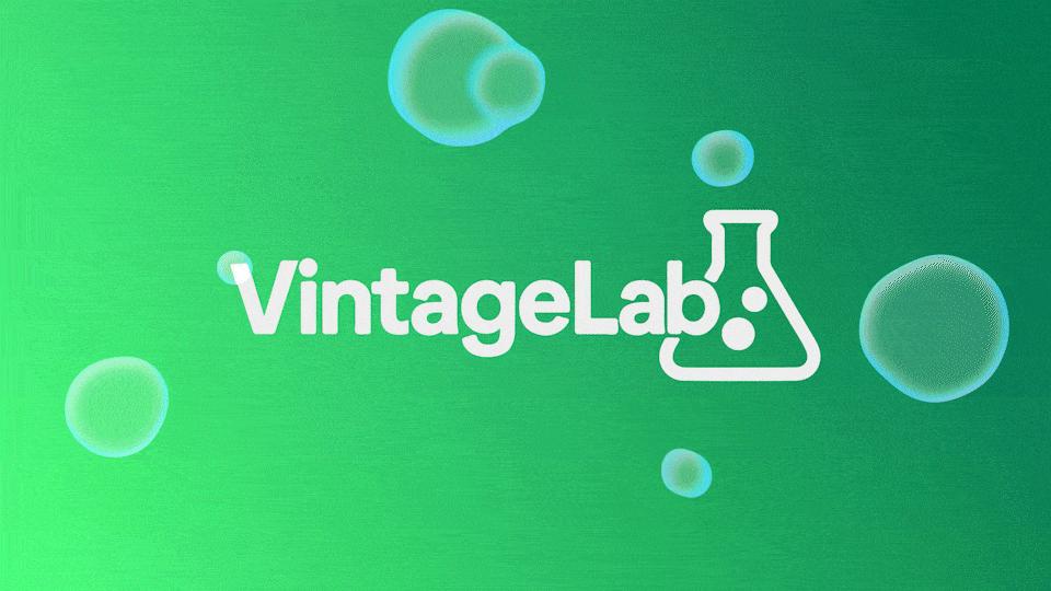 Discovery splash banner for Vintage Lab🧪 Discord server