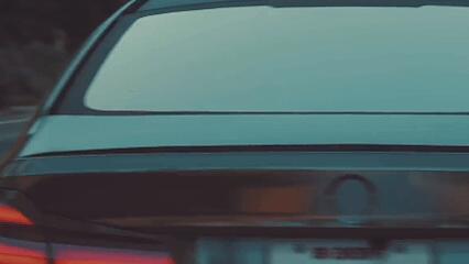 Discovery splash banner for 🕸Equality Network | HQ™ 🎃 Discord server