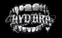 Discovery splash banner for Senhyedara Discord server