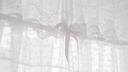 Discovery splash banner for ᦷ ׅ𓏼ᣟ𓈒 ノαngeℓℓιc ⑅ Discord server