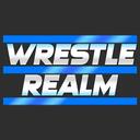 Discovery splash banner for WrestleRealm Discord server