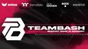 Discovery splash banner for TeamBasH Gaming Discord server