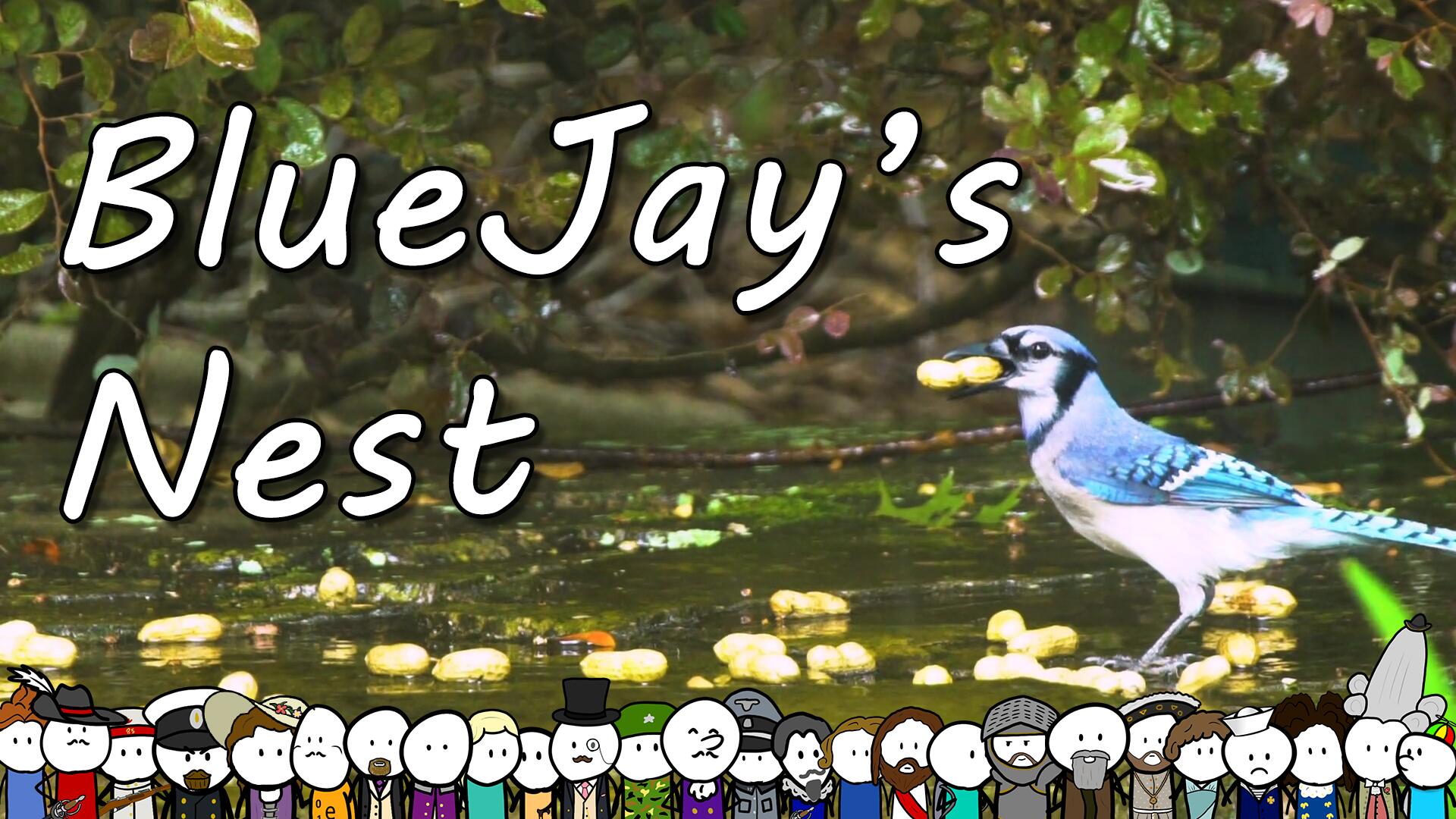 Discovery splash banner for BlueJay's Nest Discord server