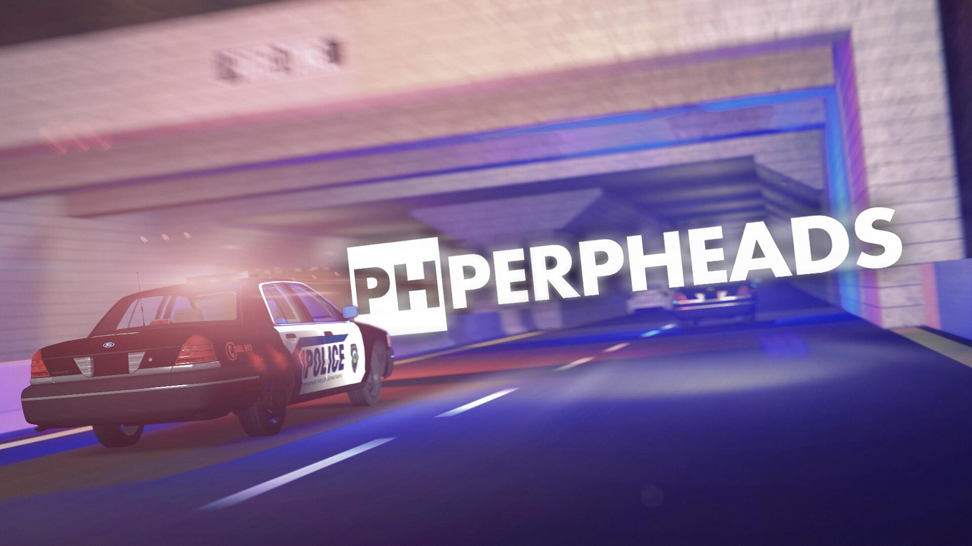 Discovery splash banner for PERPHeads Discord server
