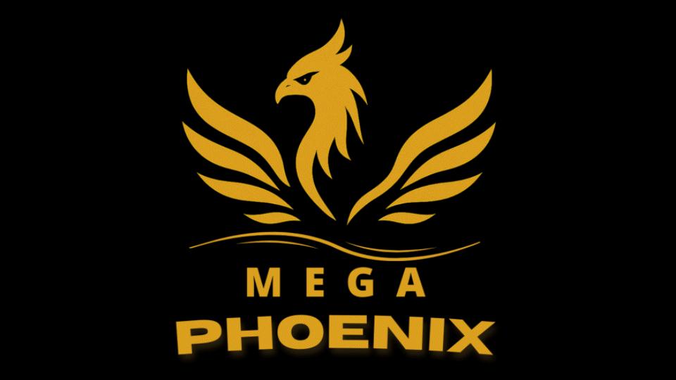 Discovery splash banner for Mega Phoenix Discord server
