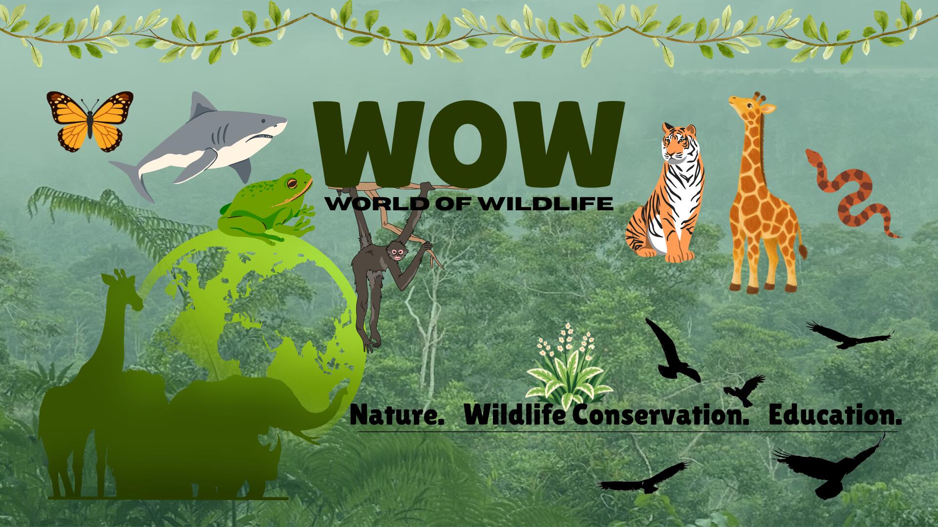 Discovery splash banner for World of Wildlife 🌲 Discord server