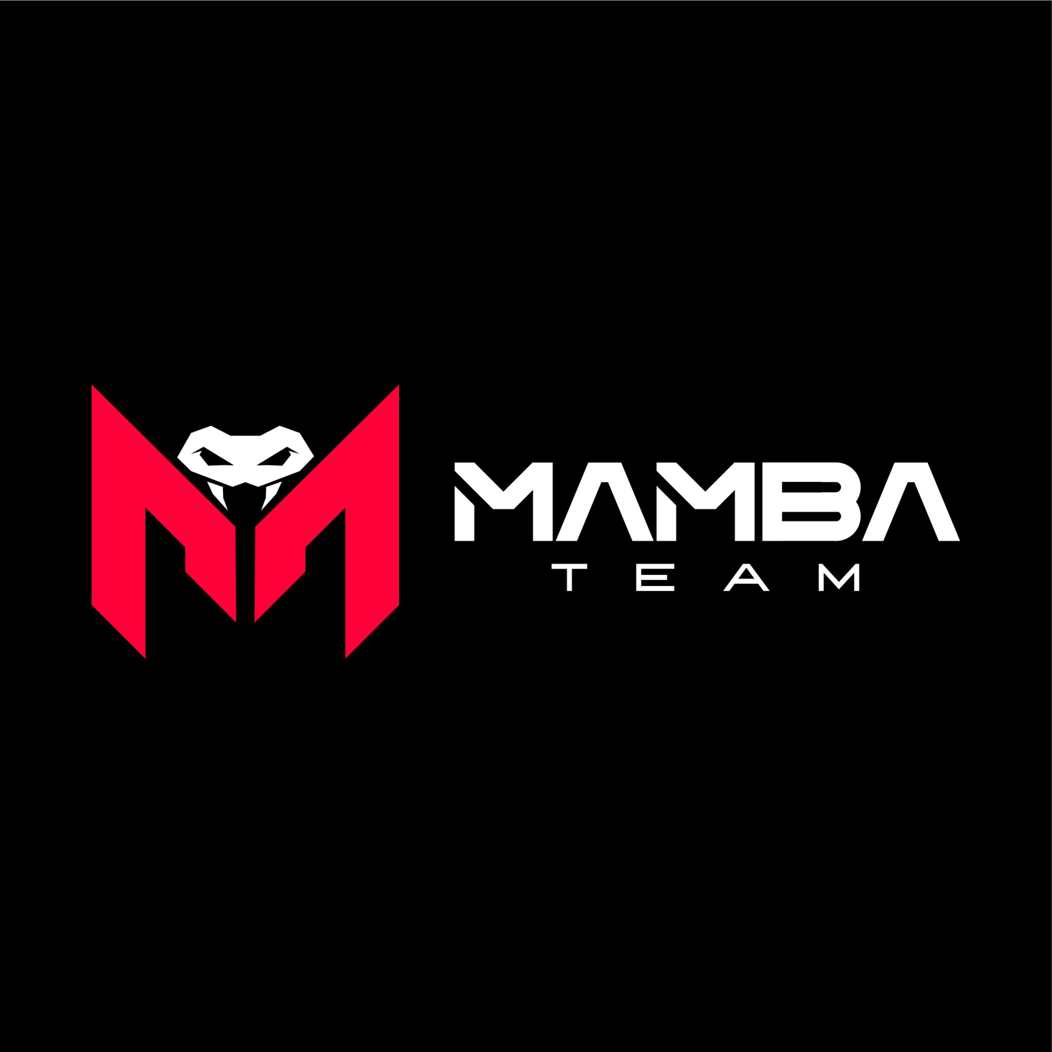 Discovery splash banner for MAMBA Community Discord server