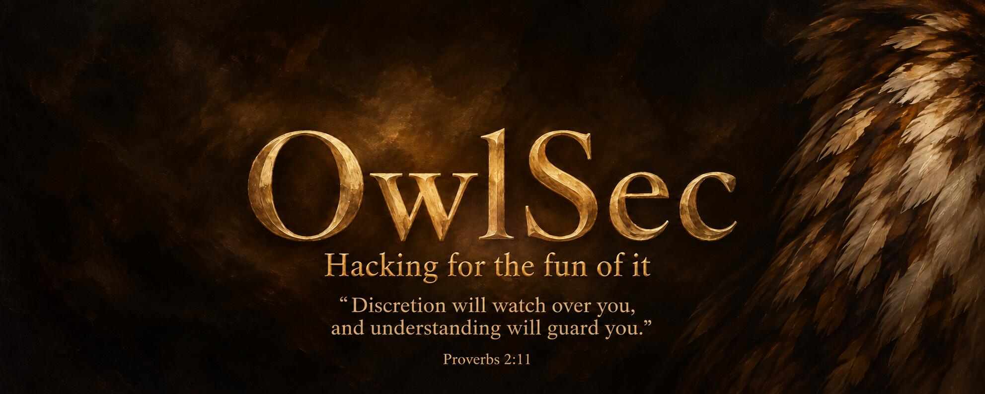 Discovery splash banner for OwlSec Discord server