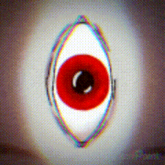 Discovery icon for Spookli Bunch Discord server