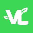 Discovery icon for VadimLeaf Studios Discord server