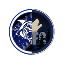 Discovery icon for MajorX | SSLxVRFC Discord server