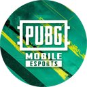 Discovery icon for Esports PUBG MOBILE MEA Discord server