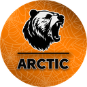 Discovery icon for Arctic Discord server