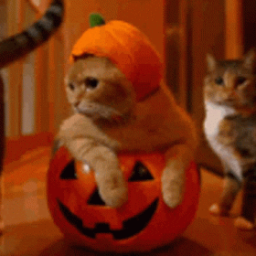 Discovery icon for ๐ ๐ ๐
๐๐ฆ๐๐จ๐ฒ ๐๐๐๐ ๐๐ฉ๐๐๐ Discord server