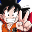 Discovery icon for Dragon Ball FR Discord server
